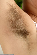 Click For A Larger Hairy Photo